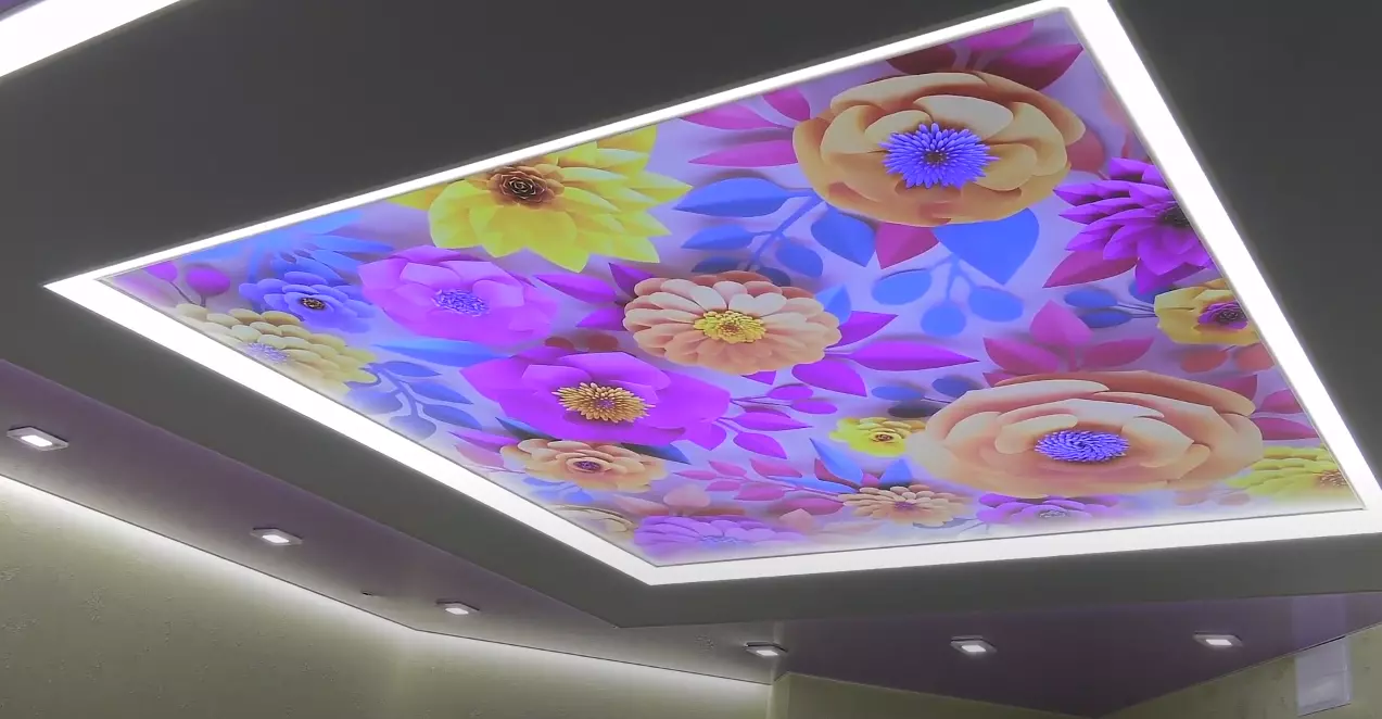 Краснодар, Восточный обход, 19, фото 1